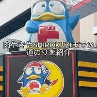 画像237