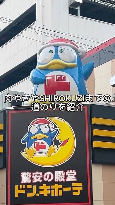 画像237